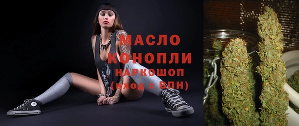 дурь Гусев