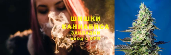 дурь Гусев