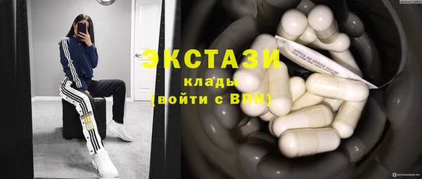 гидра Гусиноозёрск