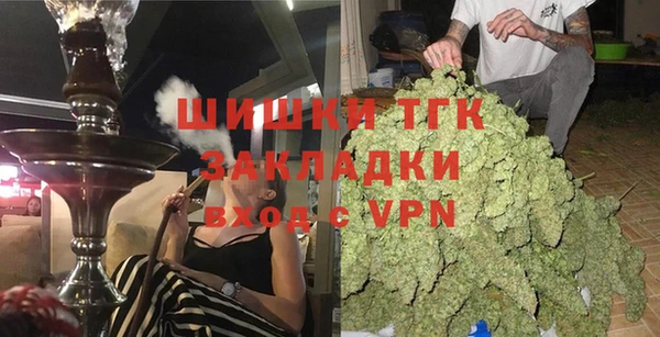 дурь Гусев