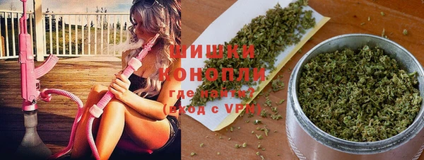 гидра Гусиноозёрск