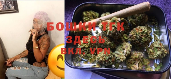 гидра Гусиноозёрск
