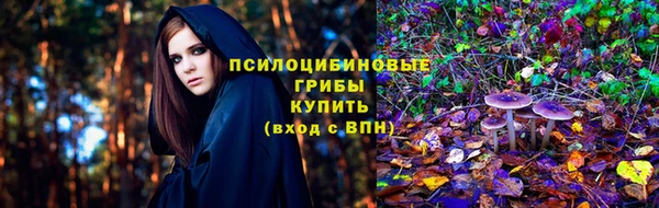 дурь Гусев