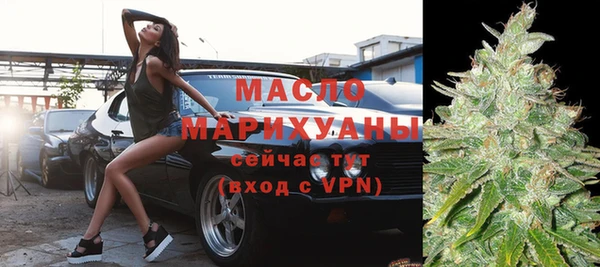 гидра Гусиноозёрск