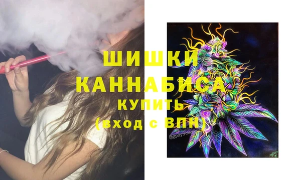 дурь Гусев