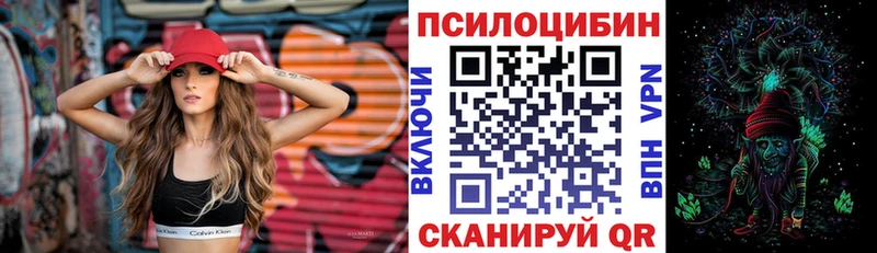 где купить наркоту Мценск Псилоцибиновые грибы Psilocybine cubensis